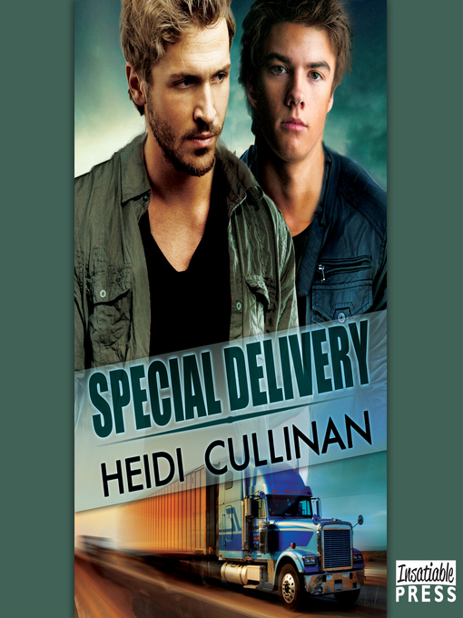 Title details for Special Delivery by Heidi Cullinan - Wait list